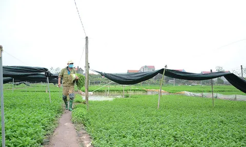 Điểm sáng xây dựng nông thôn mới trên “đất trăm nghề”