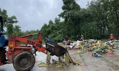 Thừa Thiên Huế: Phát hiện công ty cao su xả chất thải rắn công nghiệp ra môi trường