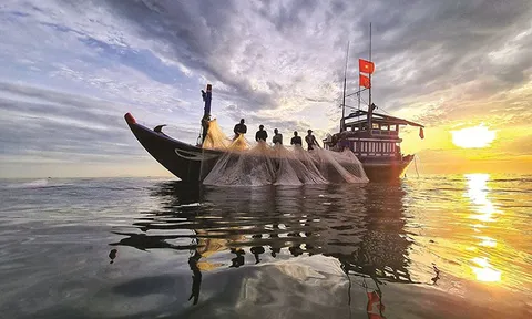 Hội Nghề cá Việt Nam: Giai đoạn mới, chiến lược mới