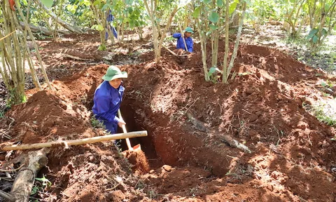 Gìn giữ tình cảm keo sơn gắn bó giữa hai dân tộc Việt Nam và Lào
