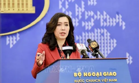 Việt Nam tạo điều kiện xuất khẩu quả vải sang Trung Quốc