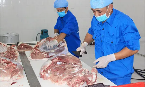 Hiệu quả chuỗi thực phẩm A-Z