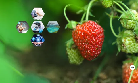 Phát triển ứng dụng công nghệ cao vào sản xuất nông nghiệp và những kết quả đáng ghi nhận