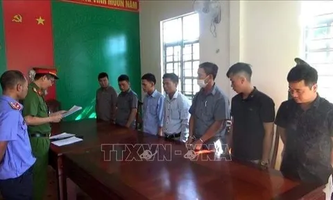 Lâm Đồng: Khởi tố 7 cán bộ bảo kê phá rừng