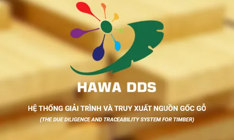 Nền tảng HAWA DDS chuyển đổi số ngành chế biến gỗ, đẩy mạnh số hóa quá trình thực thi VPA/FLEGT