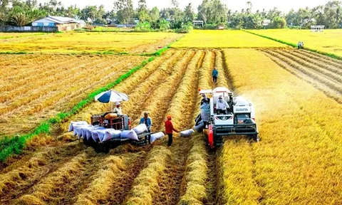 6 tháng đầu năm 2022, trong mức tăng chung của toàn nền kinh tế, khu vực nông, lâm nghiệp và thủy sản đóng góp 5,07%