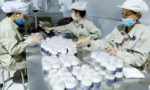 Phát triển công nghiệp bảo quản chế biến nông sản: Giải pháp tối ưu nâng giá trị sản phẩm