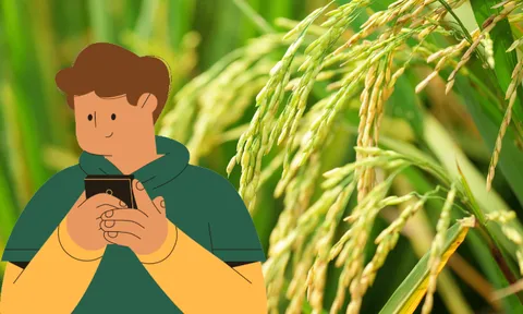 Nông nghiệp số: Sự kết hợp không ranh giới giữa công nghiệp 4.0 với công nghệ vật lý, công nghệ sinh học và công nghệ quản lý