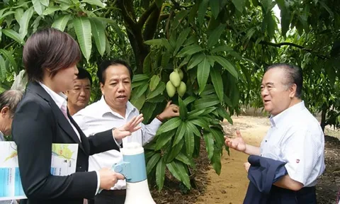 Nhiều rào cản trong chế biến rau quả