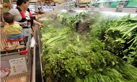 Rau ở Hàn Quốc có giá 200 won một lá, lời cảnh tỉnh cho việc trọng công khinh nông