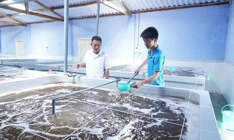 Bảo đảm chất lượng tôm giống vùng Tây Nam Bộ