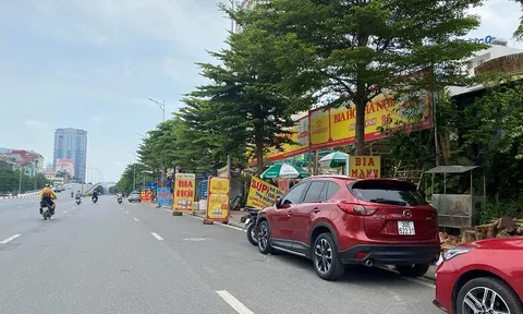 Quận Tây Hồ (Hà Nội): Đất nông nghiệp đường Nguyễn Văn Huyên bị sử dụng sai mục đích