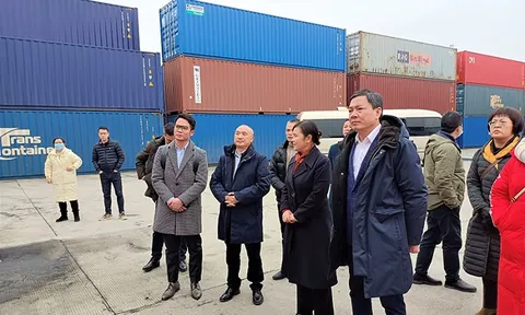 Tín hiệu tích cực cho xuất khẩu trái cây Việt Nam sang Trung Quốc