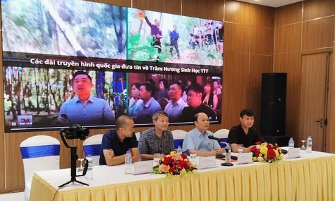 Nghiên cứu và phát triển trầm hương Việt Nam: Thực trạng và Giải pháp