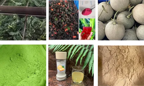 Đầu tư vào công nghệ chế biến sâu, nâng cao giá trị nông sản Việt