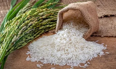 Dương Kiện, “minh tinh” khởi nghiệp - khi hạt gạo được nâng cánh bởi công nghệ (kỳ 1)