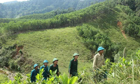 Hồi sinh trên mảnh đất da cam