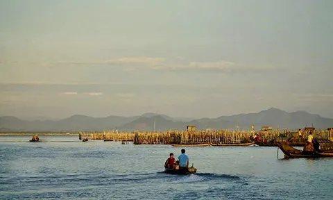 Thừa Thiên Huế: Ngăn chặn tình trạng sử dụng điện, chất cấm để khai thác thủy sản nhằm bảo vệ hệ sinh thái