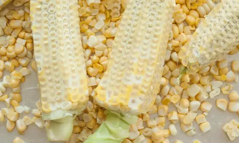 Biến lõi ngô thành “vàng bạc”