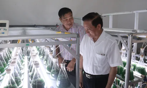 Nông dân Việt Nam xuất sắc - ứng dụng công nghệ cao vào sản xuất tảo xoắn Spirulina