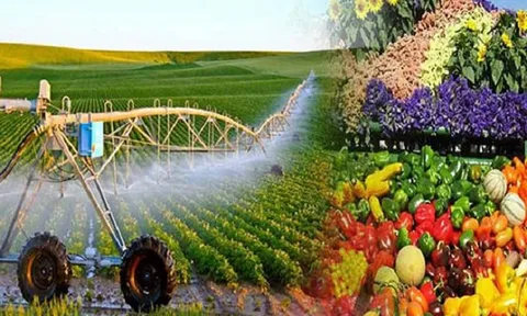 Tháng Bảy và 7 tháng đầu năm 2022: Hoạt động sản xuất lâm nghiệp diễn ra tương đối thuận lợi