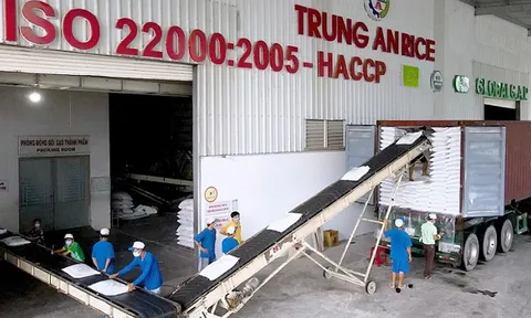 Xuất khẩu gạo tạo đột phá mới