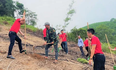 SeAbank trao tặng gần 154.000 cây xanh ủng hộ trồng rừng và phát triển kinh tế tại Hà Tĩnh