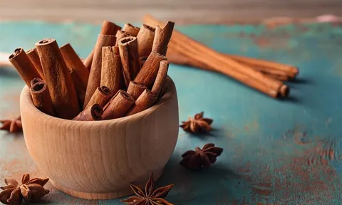 Bước tiến mới trong công nghệ bảo quản vỏ quế