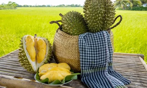 Công ty Hoa quả Hồng Cửu chính thức lên sàn chứng khoán Hồng Kông (kỳ 1)