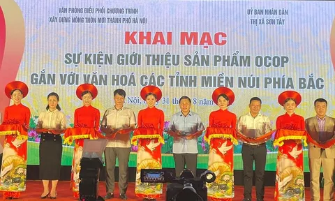Đưa sản phẩm OCOP Hà Nội lên ứng dụng TikTok