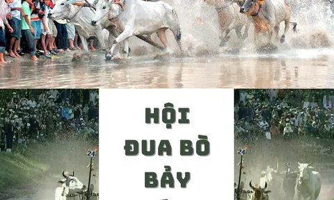 Hội đua bò Bảy Núi