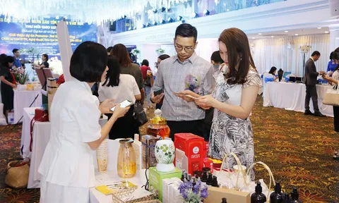 Dự án Pneuma - Hơi thở cuộc sống: Chuỗi sự kiện Xúc tiến thương mại, nghệ thuật, đào tạo thúc đẩy chuyển đổi số