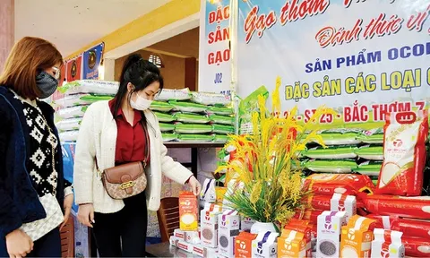 Nâng tầm “gạo thơm Thủy Thanh”