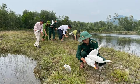 Giải cứu 30 cá thể chim mồi về với tự nhiên