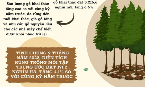 (Infographic) Sản lượng lâm nghiệp 9 tháng đầu năm 2022