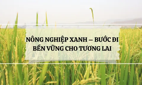 Nông nghiệp xanh - bước đi bền vững cho tương lai