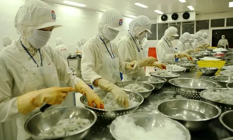 Sử dụng hiệu quả phụ phẩm nông nghiệp