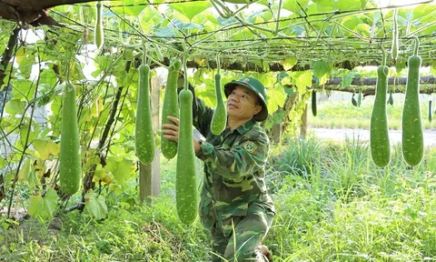 Tăng gia, chăn nuôi đảm bảo nguồn thực phẩm sạch