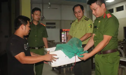 Thả 12 cá thể Kỳ đà hoa quý hiếm về môi trường tự nhiên