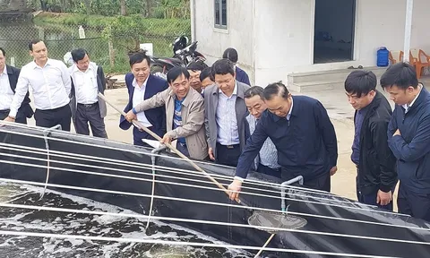 Thứ trưởng Bộ NN&PTNT Phùng Đức Tiến: Quy mô, giá trị nông nghiệp của Nghệ An rất lớn, góp phần quan trọng vào sự phát triển của ngành nông nghiệp Việt Nam