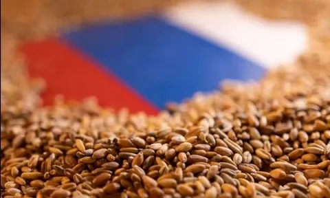 Nông dân Nga và nỗi lo... được mùa (kỳ I)