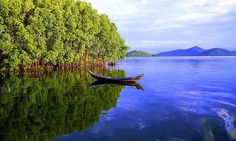 Nghiên cứu giải pháp khoa học công nghệ để phục hồi và phát triển rừng ngập mặn ven biển Nam Trung Bộ nhằm ứng phó với biến đổi khí hậu