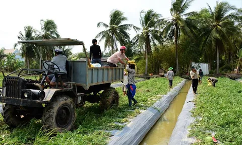 Cà Mau: Thực hiện nghiêm túc quan điểm về nông nghiệp, nông dân, nông thôn