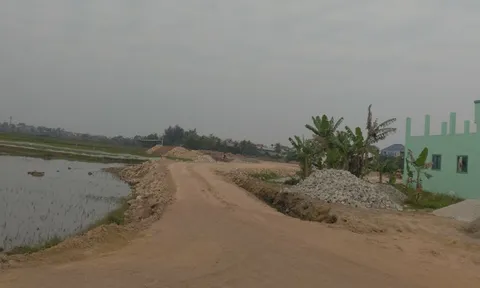 Nghệ An: Công ty TNHH Thanh Thanh tự ý san lấp đất nông nghiệp?
