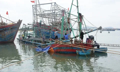 Nghệ An: Cứu thành công 3 ngư dân bị chìm tàu trên biển
