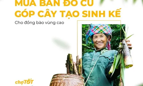 TreeBank, chợ tốt và cộng đồng tạo giá trị chung, góp cây tạo sinh kế bền vững cho đồng bào vùng cao