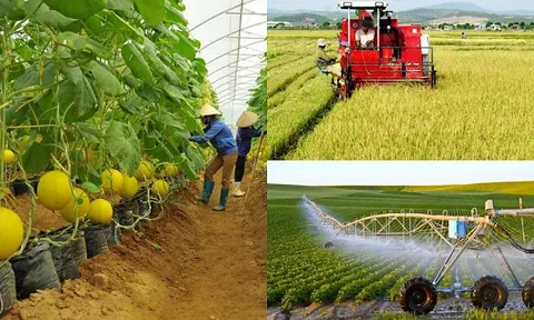 Sản xuất nông nghiệp, lâm nghiệp và thủy sản quý V và năm 2022