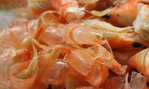 Nghiên cứu sử dụng acid lactic để khử khoáng trong quá trình sản xuất chitin từ phế liệu tôm