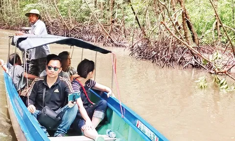 Du lịch sinh thái rừng ngập mặn nơi Đất Mũi