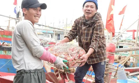 Nghệ An: Trúng đậm ghẹ lửa, ấm lòng ngư dân dịp đầu năm